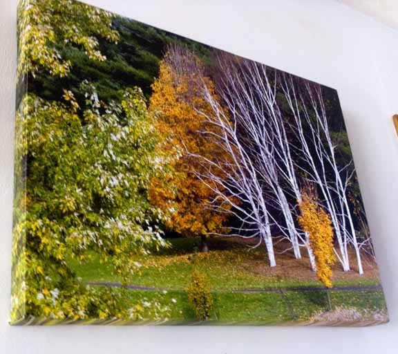 Photo showing the edge treatment of giclee canvases.
