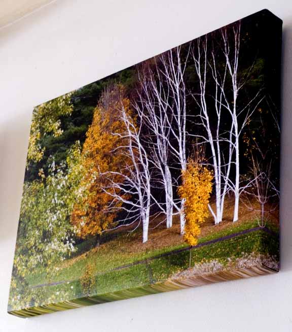 Edge of giclee canvas